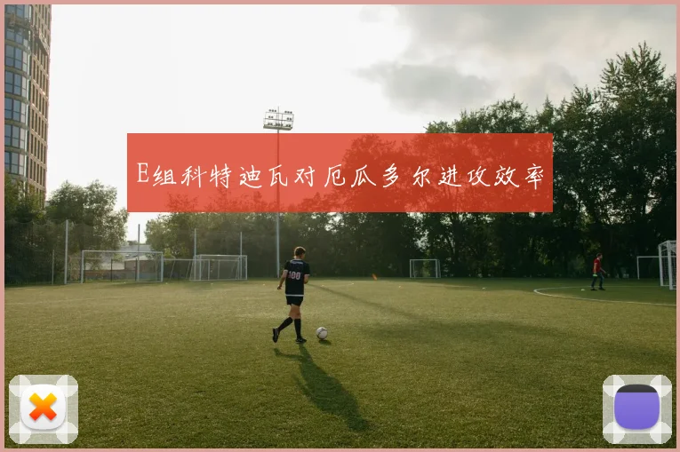 E组科特迪瓦对厄瓜多尔进攻效率