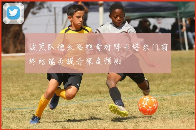 波黑队德米洛维奇对阵卡塔尔门前终结能否提升深度预测