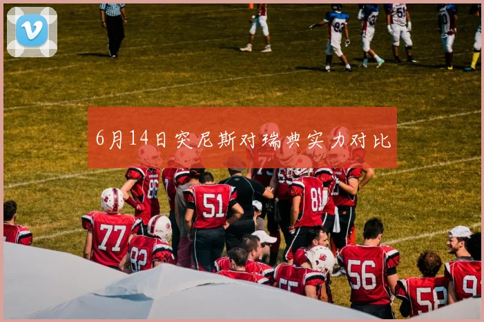 6月14日突尼斯对瑞典实力对比