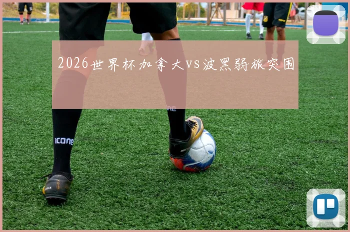 2026世界杯加拿大vs波黑弱旅突围