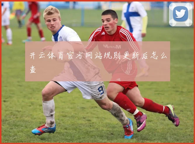 开云体育官方网站规则更新后怎么查